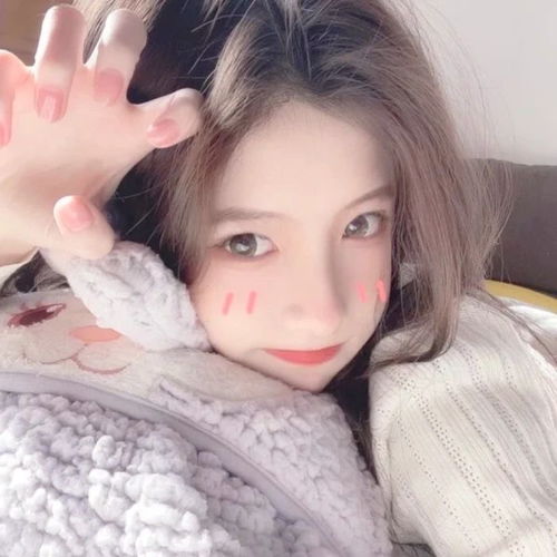 无标题