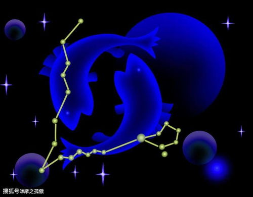 12星座用这种方式爱你