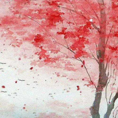 有没有什么惊艳的微信头像