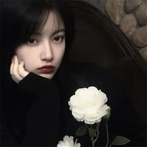 tonylgy苏静高音质在线试听tonylgy歌词歌曲下载酷狗音乐