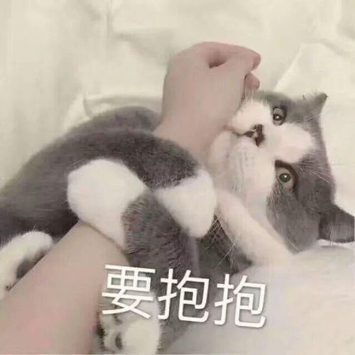 十条段子我姐的歌声真的这么恶心