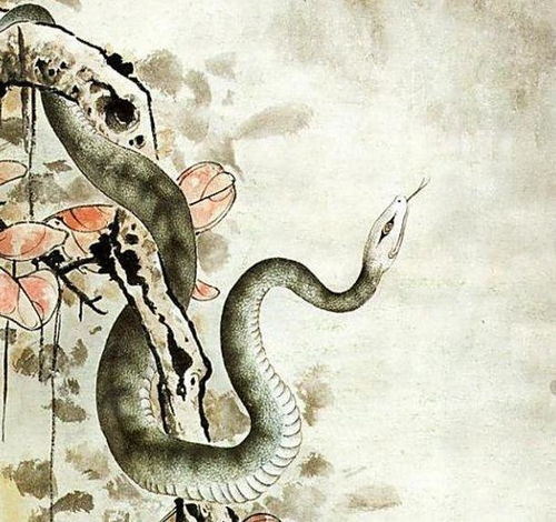 蛇人明天上天派来钦差,接下100有囍,不接不吉