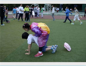 合肥市芙蓉小学