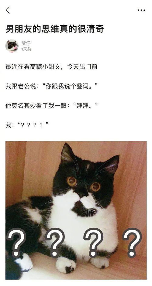 这个女学生过于成熟了吧