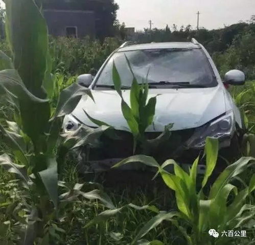 开国产没面子这几款神车有钱你都买不到
