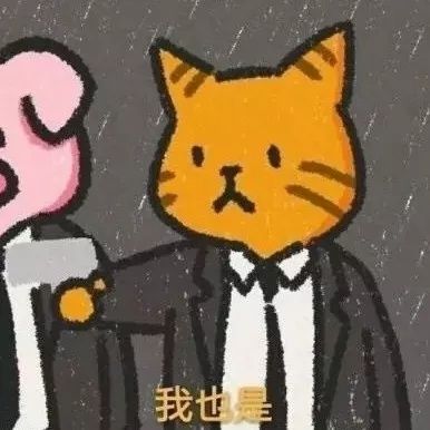 你们是如何考上985的每科都多少分