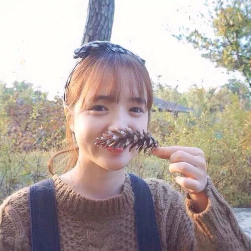 女生头像纵有疾风起,土味套路情话
