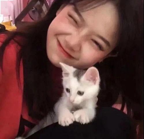 头像图片丨女生头像丨可爱的猫系女头1214