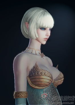 tera30张美女角色截图欣赏