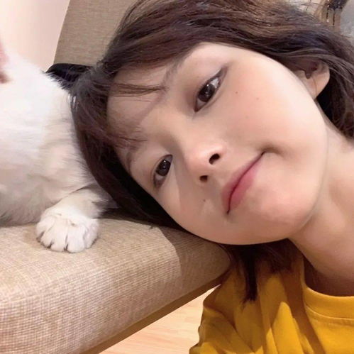 女头像是猫说明单身宅女