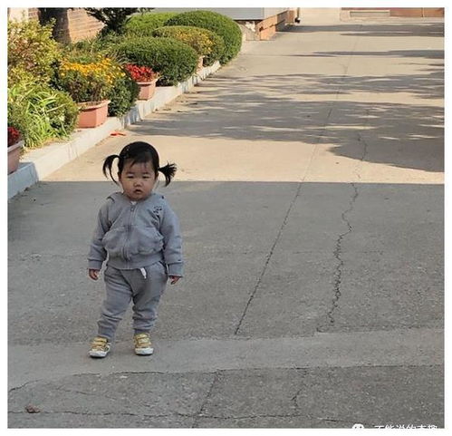 小身躯藏大叔魂韩国小妹妹顶着大肚腩一副厌世脸,爆红网络