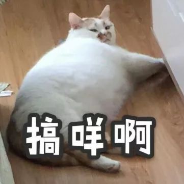 一个女生在喂猫头像喂食
