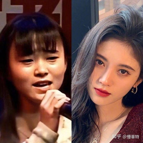 同样整容成功,陈小纭好评一片,鞠婧祎却相反,难道整容也搞双标