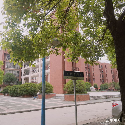 小女孩鲜花头像图片武汉轻工大学