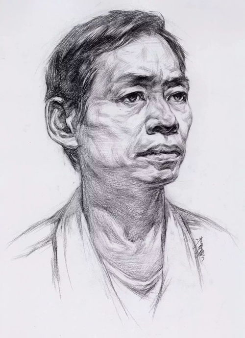 干货从静物到青年中年老年男女头像,高清素描结构图