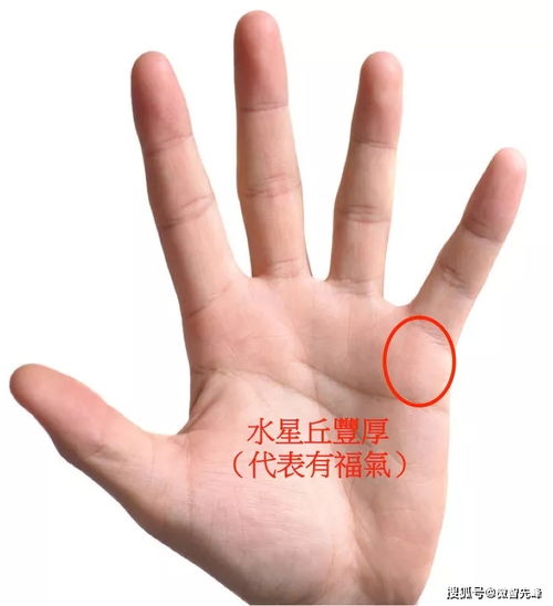 左手断掌有富贵命女人七种好命手面相