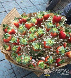 送给吃货女友的花,比玫瑰还管用