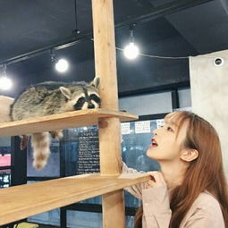 韩版可爱唯美女生头像