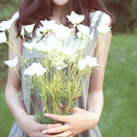 手上拿一朵花白衣女子的头像