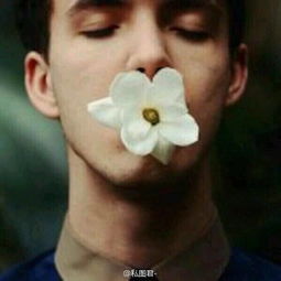 求qq欧美头像