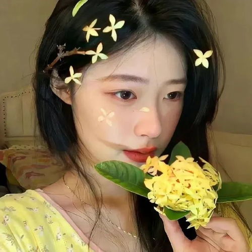 好看好玩又搞怪的头像壁纸