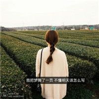 头像女生背影或侧面带字腾牛网精选别替我挡风遮雨
