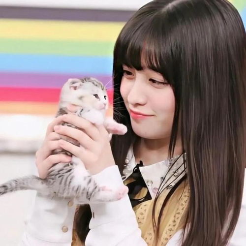 日本美少女,桥本环奈,会不会成为老师