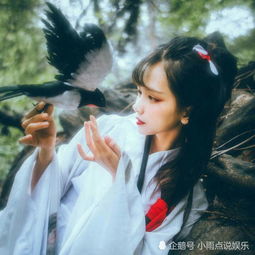 阁下,您的头像已过期,最近火了汉服头像,收到请立即更换