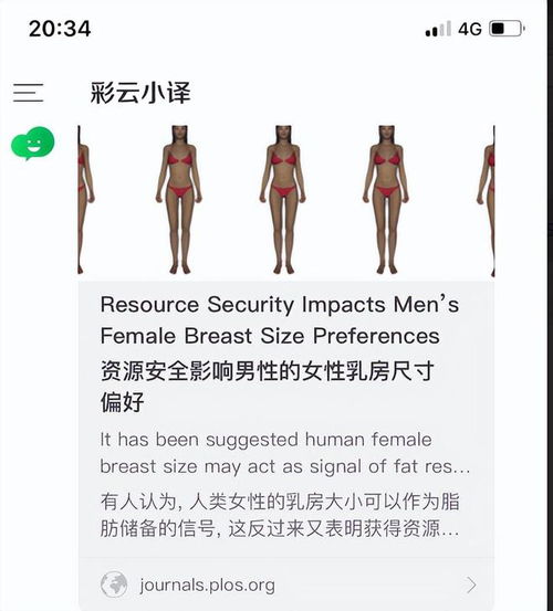 为什么大胸的妹子更受欢迎