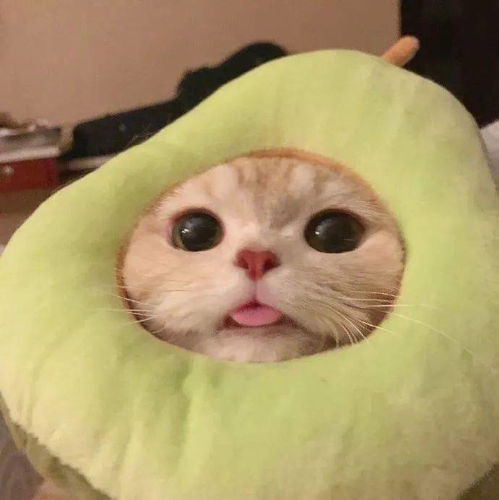 一组yyds的微信头像