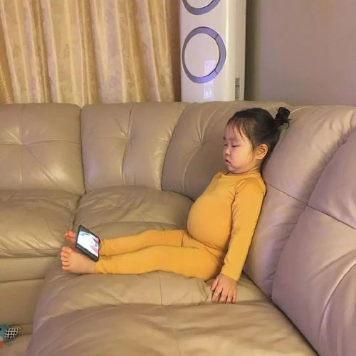 你家菜够吃么新乡吃货们,这里买菜啦