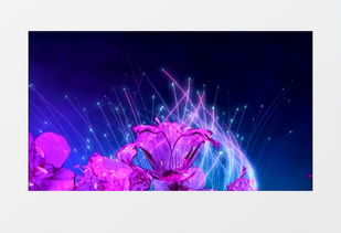 动画动态梦幻唯美花仙子仙境星光琉璃花背景视频素材下载mov格式熊猫办公