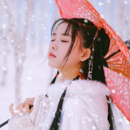 看花煮雨赏雪qq经典分组qq分组扣扣居