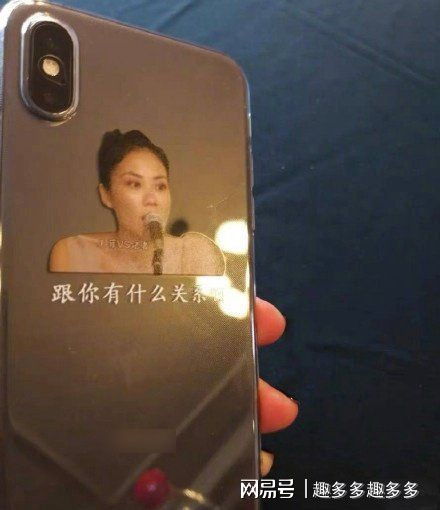 王菲为李嫣庆祝14岁生日,画面温馨甜美,竟被手机壳抢了镜