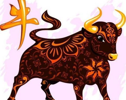 2017年最后一次赚钱的机会,12月亥水旺金的三个生肖