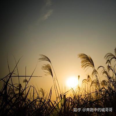 一个人,要是孤独了怎么办