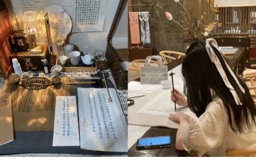 昔日顶流变田媛网红他为啥一定要将生意进行到底