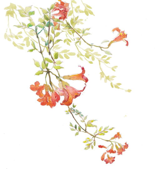 保剑锋从磨砺出梅花香自苦寒来