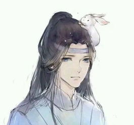 魔道祖师qq情侣头像