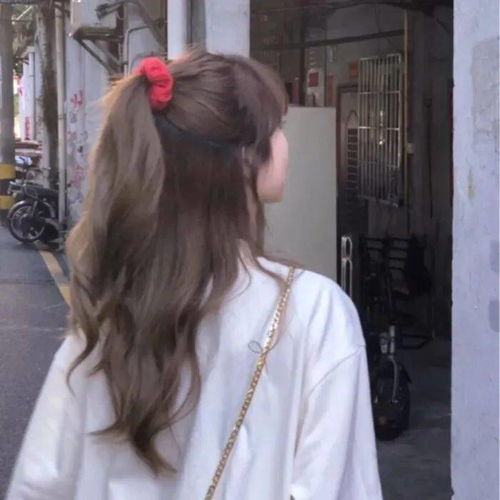 头像丨许多星辰指望你去探寻它们