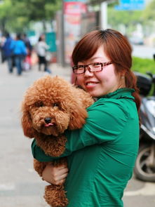 阳光美狗与阳光美女