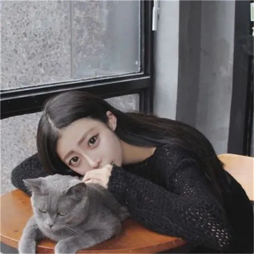 情头撸猫女孩优质头像,原来我的心也没了腾讯新闻