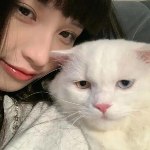 搞笑的微信头像女生说说