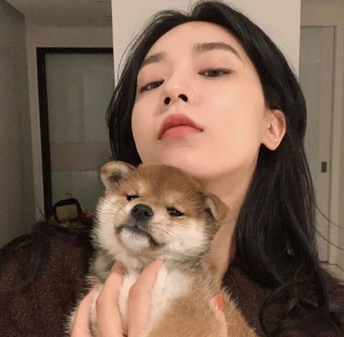 女生头像少女和狗狗的故事
