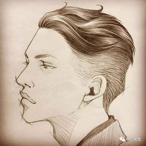 男女发型手绘