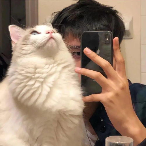 念念不忘必有回响