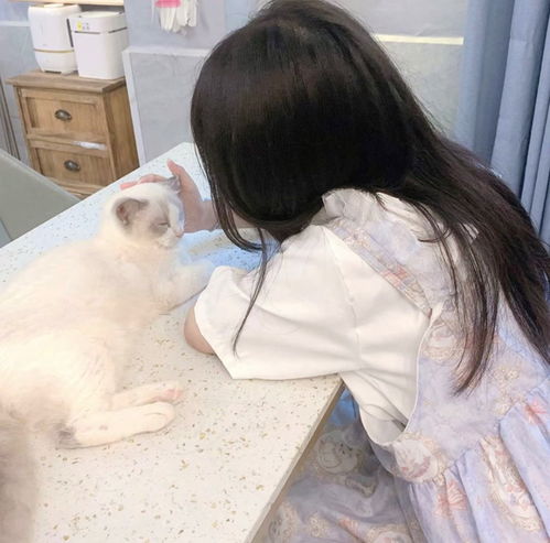 至少头像要是个温柔女生,精选温柔女头