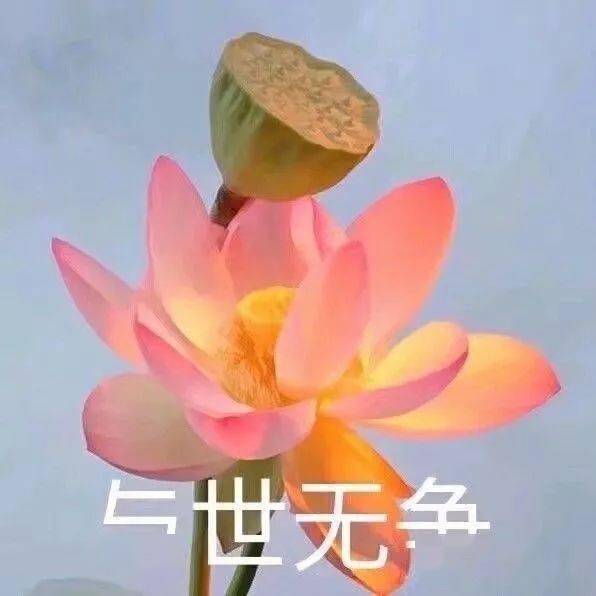 头像大全精选100张热门微信头像适合九月发朋友圈的文案句子