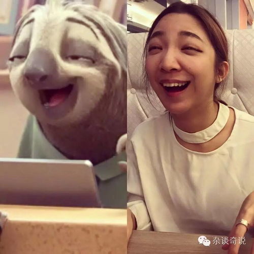 十大最疗愈动物动画电影萌死人不偿命