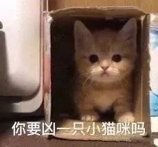 女生专用招桃花表情包